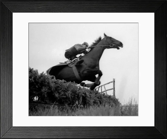 Framed Print : Racehorse Arkle seen training for the 1966 Cheltenham Gold Cup - March 1966 Framed Print : Racehorse Arkle seen training for the 1966 Cheltenham Gold Cup - March 1966