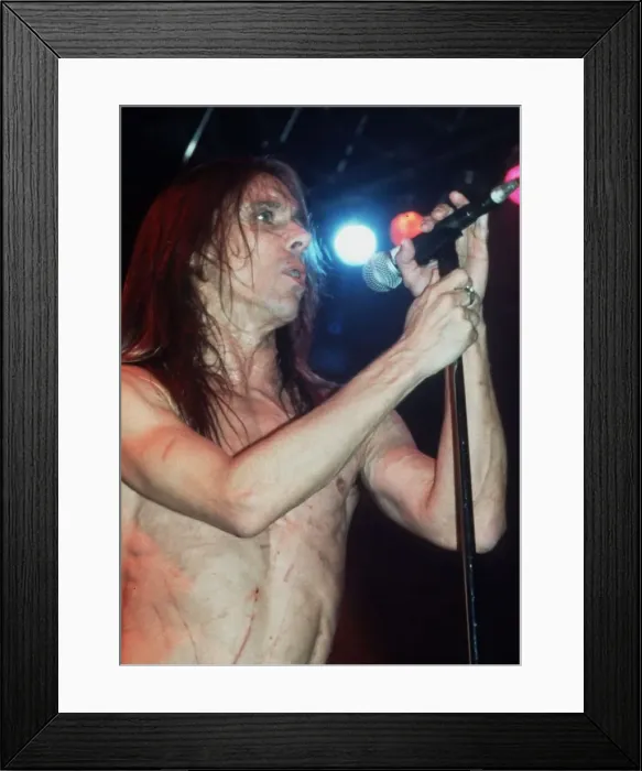 Framed Print : Iggy Pop American pop singer on stage 1993 Framed Print : Iggy Pop American pop singer on stage 1993