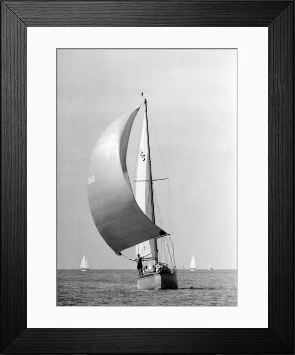 Framed Print : Yachting at Cowes sail no 360 is greenfly owned by JW Roome August 1964