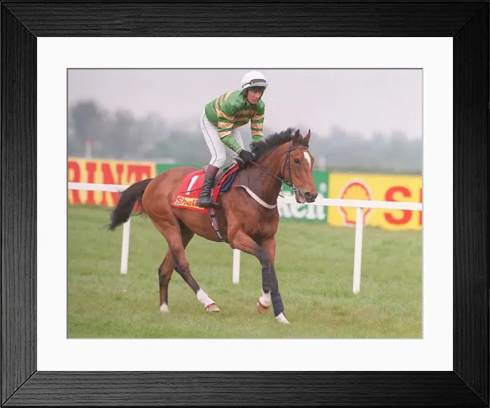 Framed Print : Racehorse Istabraq and jockey Charlie Swan at Punchestown