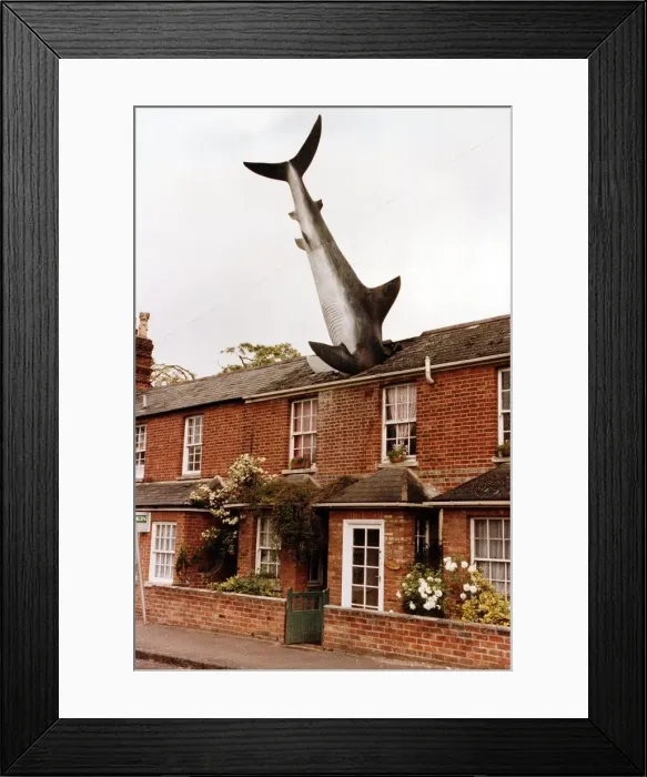 Framed Print : The shark sculpture on a surburban Oxford street June 1992
