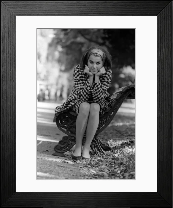 Framed Print : Stefanie Powers September 1964 Actress Framed Print : Stefanie Powers September 1964 Actress