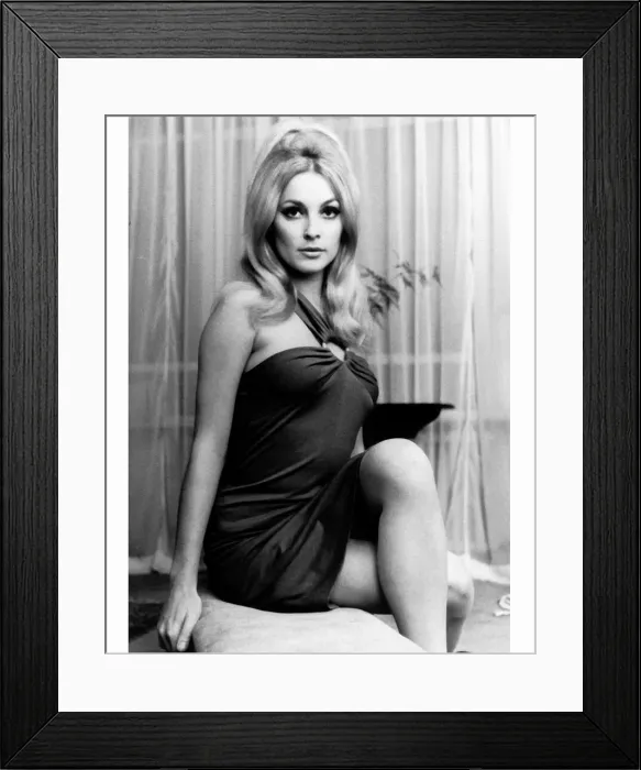 Framed Print : Actress Sharon Tate. 17th September 1965. Murdered by Charles Manson Framed Print : Actress Sharon Tate. 17th September 1965. Murdered by Charles Manson