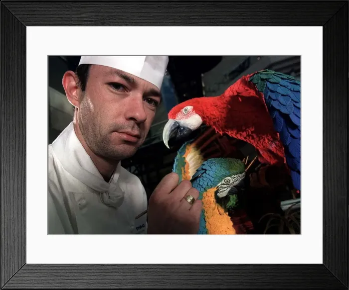 Framed Print : Scott O Hara Sugar Sculptor July 1999, adding some finishing touches to two Macaw Framed Print : Scott O Hara Sugar Sculptor July 1999, adding some finishing touches to two Macaw