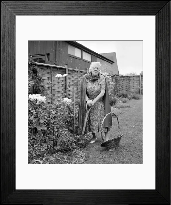 Framed Print : Margaret Rutherford September 1963 Actress Pictured at home Gerrards Cross Bucks in