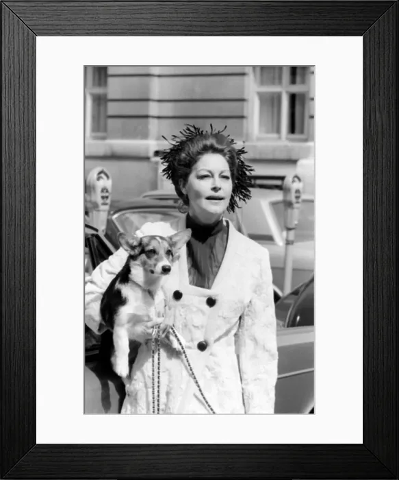 Framed Print : Ava Gardner August 1969 With her Corgi dog in London A©Daily Mirror Framed Print : Ava Gardner August 1969 With her Corgi dog in London A©Daily Mirror