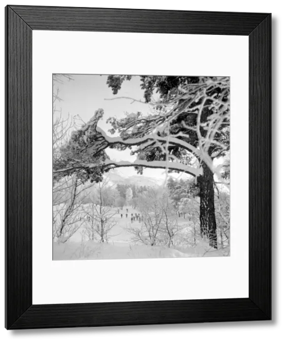 Framed Print : Snowy winter scene with people out having fun in the snow Framed Print : Snowy winter scene with people out having fun in the snow