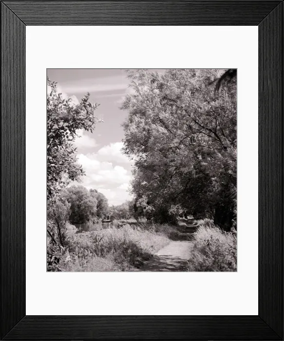 Framed Print : An english rural scene showing trees and river countryside britain british 1960s