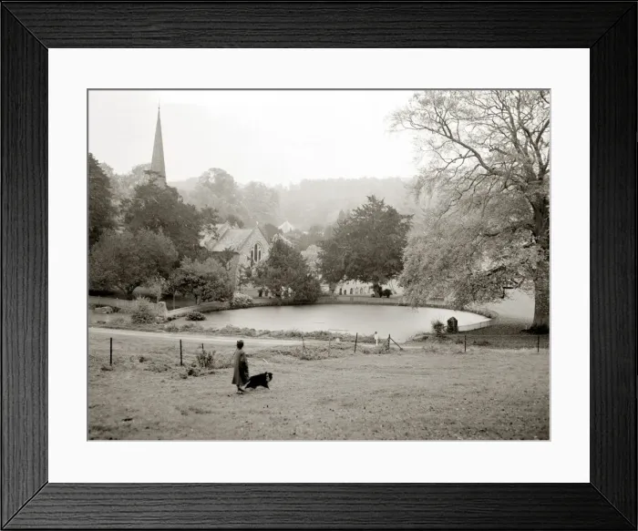 Framed Print : A woman walking her border collie dog in the countryside Lake church trees field