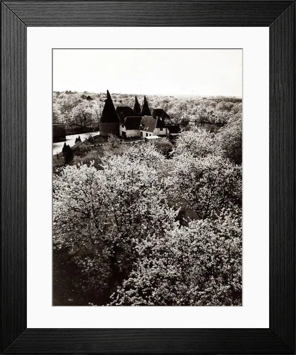 Framed Print : Fruit Blossom in Kent, Britain - Seasons - Spring trees house Framed Print : Fruit Blossom in Kent, Britain - Seasons - Spring trees house