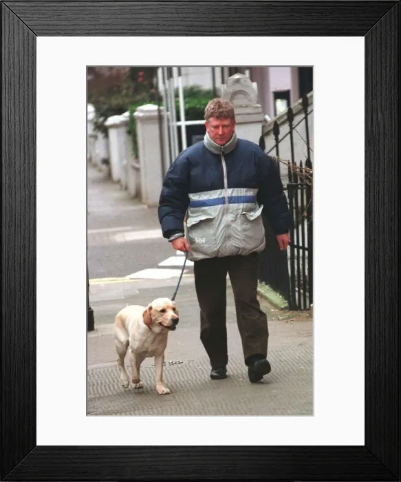 Framed Print : Shaun Scott actor walks his dog in Kensington February 1999 Framed Print : Shaun Scott actor walks his dog in Kensington February 1999
