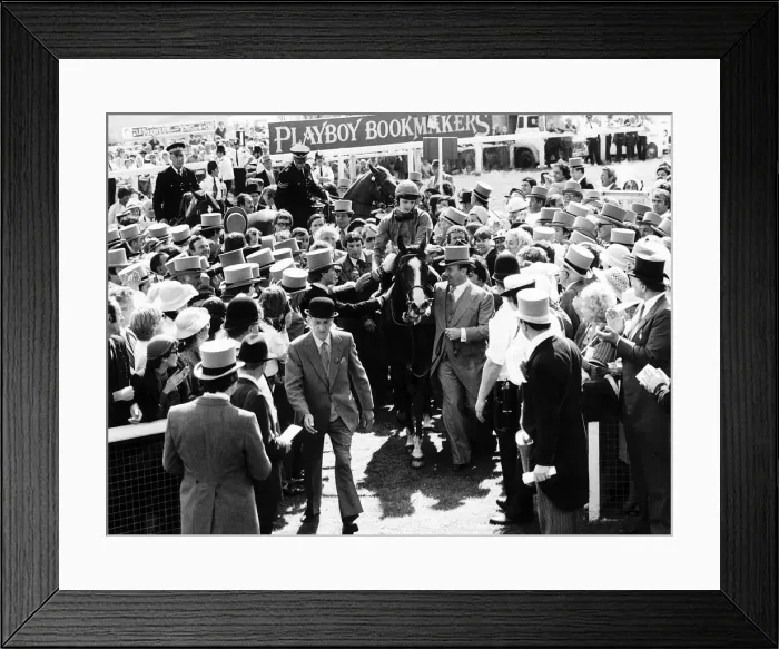 Framed Print : Shergar with jockey Walter Swinburn being led in by the Aga Khan after winning the Derby Framed Print : Shergar with jockey Walter Swinburn being led in by the Aga Khan after winning the Derby