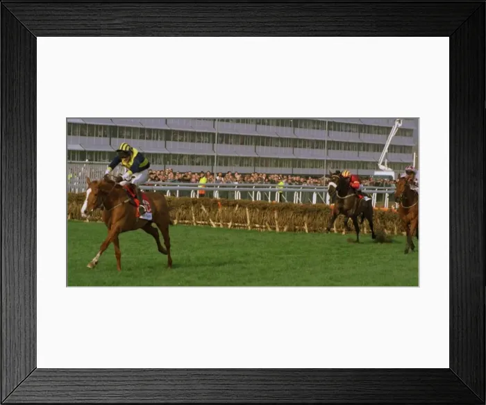 Framed Print : Make A Stand wins the Champion Hurdle at cheltenham Framed Print : Make A Stand wins the Champion Hurdle at cheltenham
