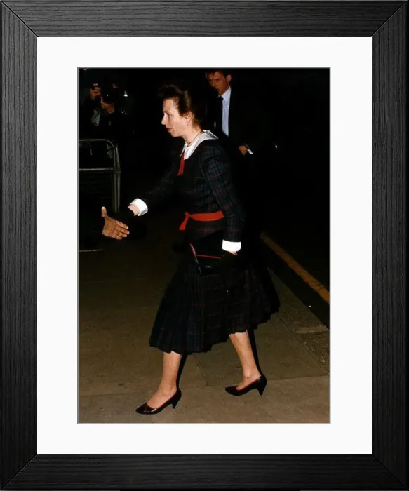 : Princess Anne the Princess Royal at a Royal visit in Westminster : Princess Anne the Princess Royal at a Royal visit in Westminster