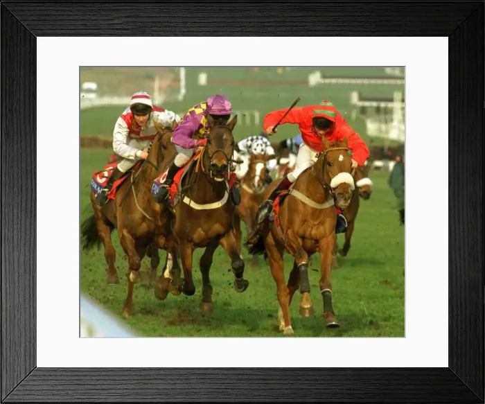 Framed Print : Trainglot right wins from Treasure Again mauve and yellow check colours in the Coral Cup Framed Print : Trainglot right wins from Treasure Again mauve and yellow check colours in the Coral Cup