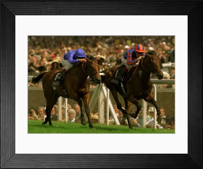 Framed Print : Among men (rails) wins from Kahal on left in the Jersey Stakes at Royal Ascot June 1997 Framed Print : Among men (rails) wins from Kahal on left in the Jersey Stakes at Royal Ascot June 1997