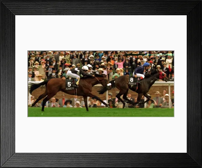 Framed Print : Harbour Master and C Roche Jockey wins the Coventry Stakes at Royal Ascot with Olivier Framed Print : Harbour Master and C Roche Jockey wins the Coventry Stakes at Royal Ascot with Olivier