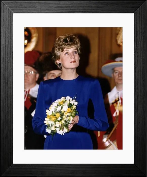  : Princess Diana attends a ROSPA reception at the Guildhall in London