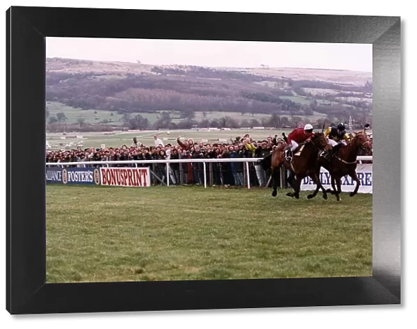 Cool Ground Wins The 1992 Cheltenham Gold Cup In A Driving Finish From The French Horse