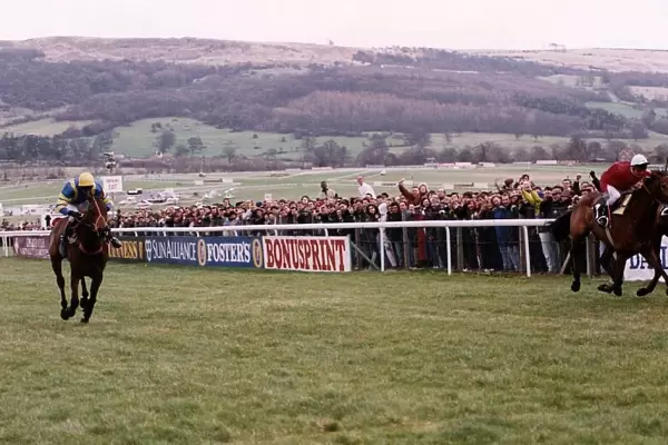 Cool Ground Wins The 1992 Cheltenham Gold Cup In A Driving Finish From The French Horse