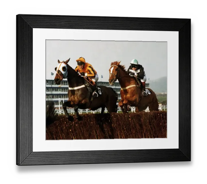 Framed Print : Nortons Coin goes head to head with Garrison Savannah in the 1991 Cheltenham Gold Cup