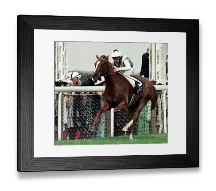 : Kieren Fallon Jockey on Bosra Sham winning the Prince Of Waless Stake at Royal Ascot : Kieren Fallon Jockey on Bosra Sham winning the Prince Of Waless Stake at Royal Ascot