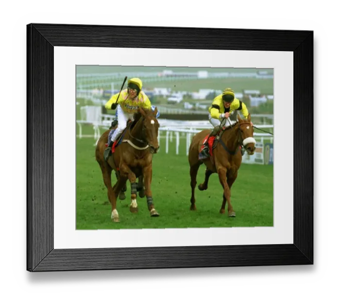 Framed Print : Urabande and jockey Charlie Swan winning the Sun Alliance Novices Hurdle at Cheltenham Framed Print : Urabande and jockey Charlie Swan winning the Sun Alliance Novices Hurdle at Cheltenham