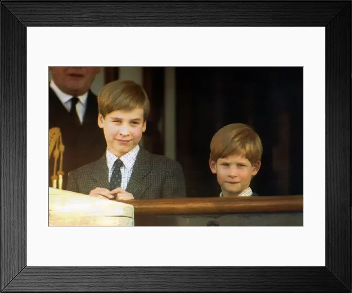 : Prince William and Prince harry : Prince William and Prince harry