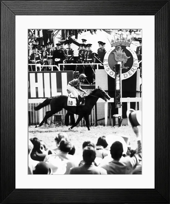 Framed Print : Shergar with jockey Walter Swinburn wins the Derby at Epsom by a record 10 Lenghts 3rd Framed Print : Shergar with jockey Walter Swinburn wins the Derby at Epsom by a record 10 Lenghts 3rd