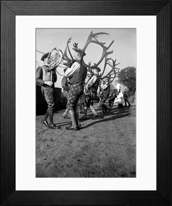 Framed Print : The Horn Dancers performing their routine at Abbotts Bromley in Rugby September