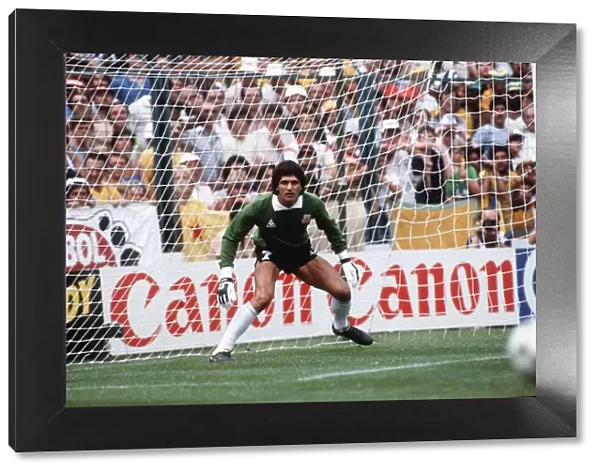 Argentina v Brazil 1982 World Cup match Goalkeeper Fillol of Argentina in
