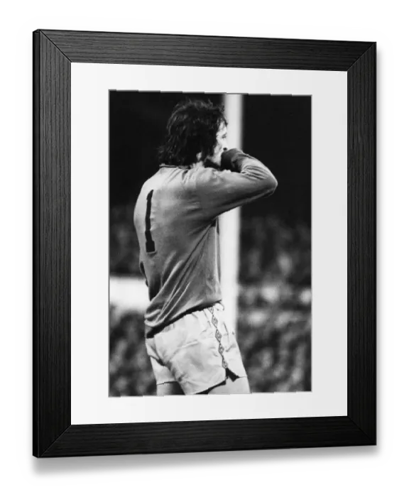 Framed Print : Kenny Hibbitt Wolverhampton Wanderers football player fills in as emergency goalkeeper