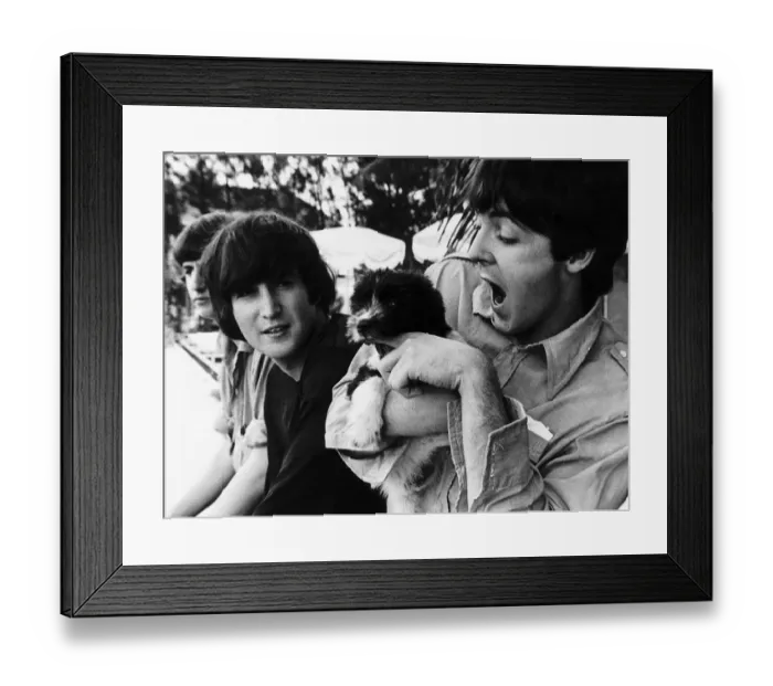 Framed Print : Paul McCartney of The Beatles coddles a puppy watched by John Lennon on the set of Help Framed Print : Paul McCartney of The Beatles coddles a puppy watched by John Lennon on the set of Help