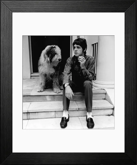 Framed Print : Paul McCartney at his St Johns Wood house on his 25th birthday 18 June 1967 Framed Print : Paul McCartney at his St Johns Wood house on his 25th birthday 18 June 1967