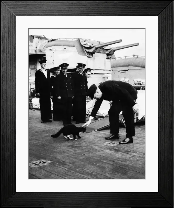 Framed Print : British Prime Minister Winston Churchill onboard HMS Prince of Wales - stroking a black Framed Print : British Prime Minister Winston Churchill onboard HMS Prince of Wales - stroking a black