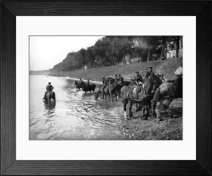 Framed Print : World War One. Soldiers watering artilery carriage horses Circa 1916 Framed Print : World War One. Soldiers watering artilery carriage horses Circa 1916