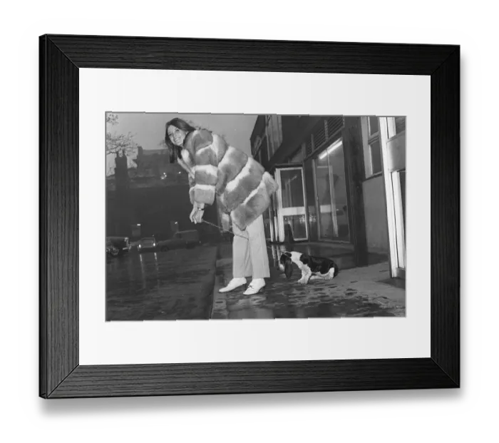 Framed Print : Sandie Shaw singer with her pet dog British singer Sandie Shaw taking her pet dog