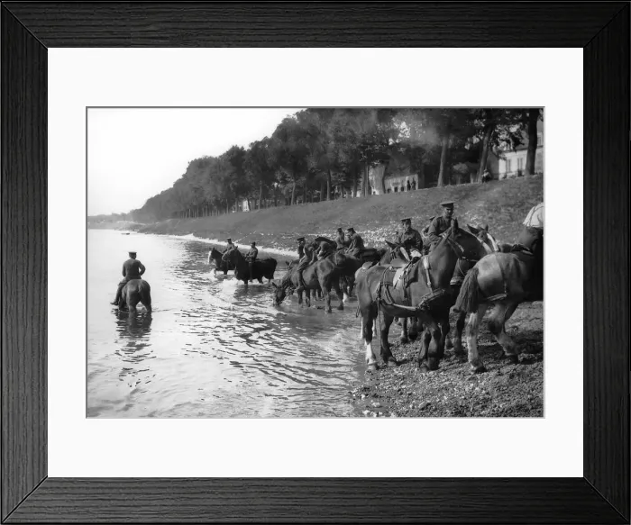 Framed Print : Soldiers watering horses, September 1914. Horses were made largely redundant in Framed Print : Soldiers watering horses, September 1914. Horses were made largely redundant in