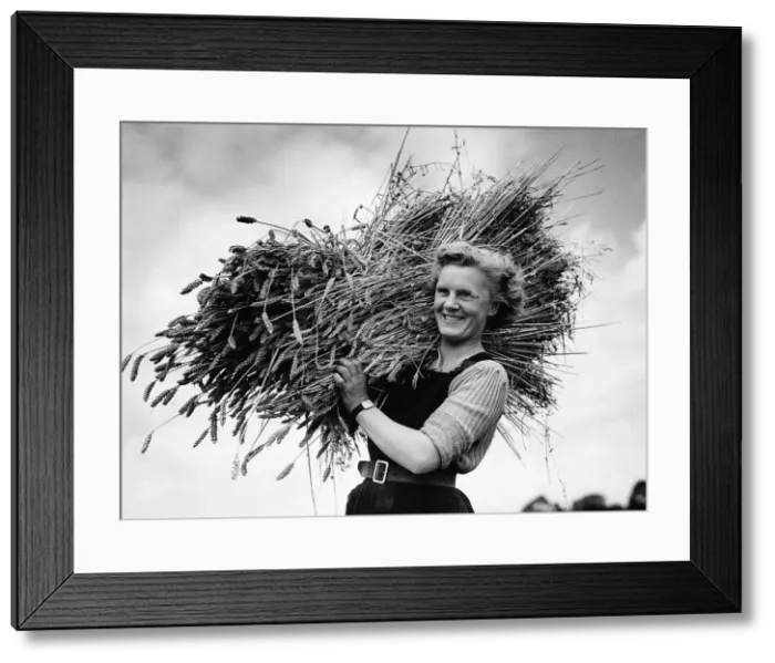 Framed Print : Women during WW2 - Kathleen Joyce has 28 days Agricultural Leave