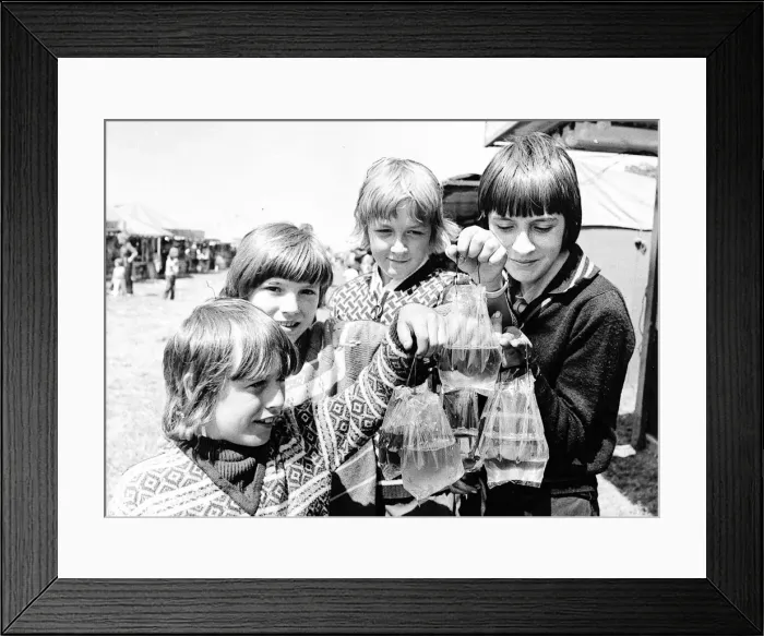 Framed Print : Four youngster display their prize goldfish in 1975 at the Hoppings on Newcastle