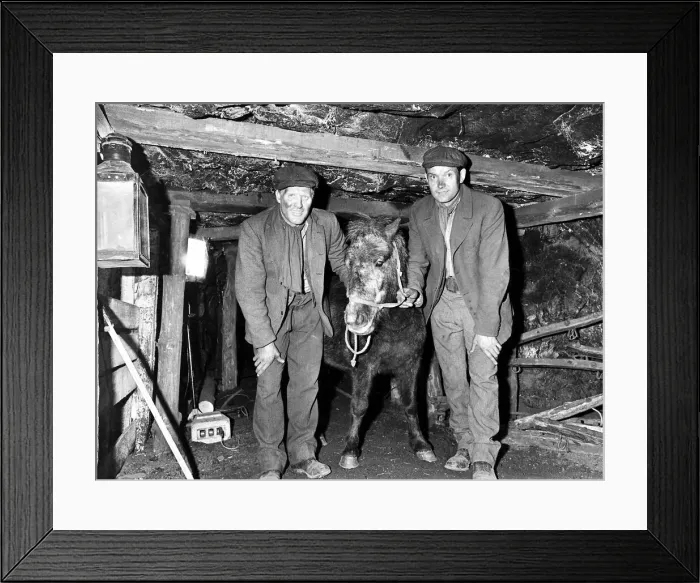 Framed Print : Frank Clough (left) and Bobby Bell (Right) the two miners from County Durham pictures Framed Print : Frank Clough (left) and Bobby Bell (Right) the two miners from County Durham pictures