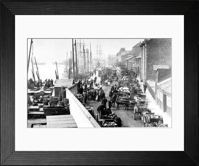 Framed Print : North shields fish quay in 1910. Sail still outnumbers steam and the horse Framed Print : North shields fish quay in 1910. Sail still outnumbers steam and the horse
