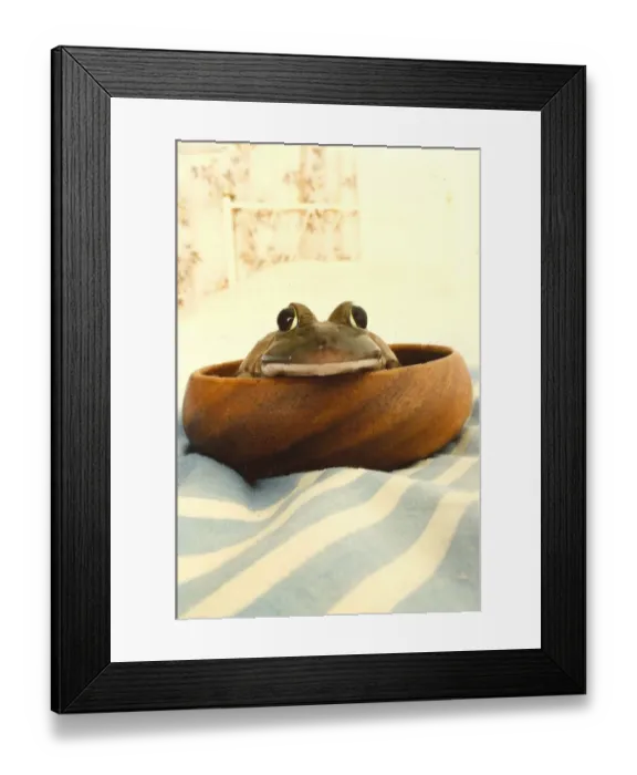 Framed Print : A toad in the bowl