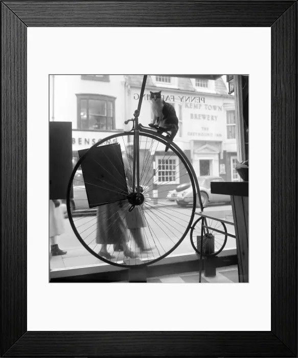 Framed Print : People stand and stare in the window of the Penny Farthing Coffee Bar at Brighton Framed Print : People stand and stare in the window of the Penny Farthing Coffee Bar at Brighton