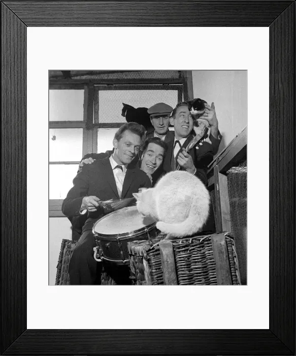 Framed Print : Four men entertain the cats at Whittlesey with a guitar