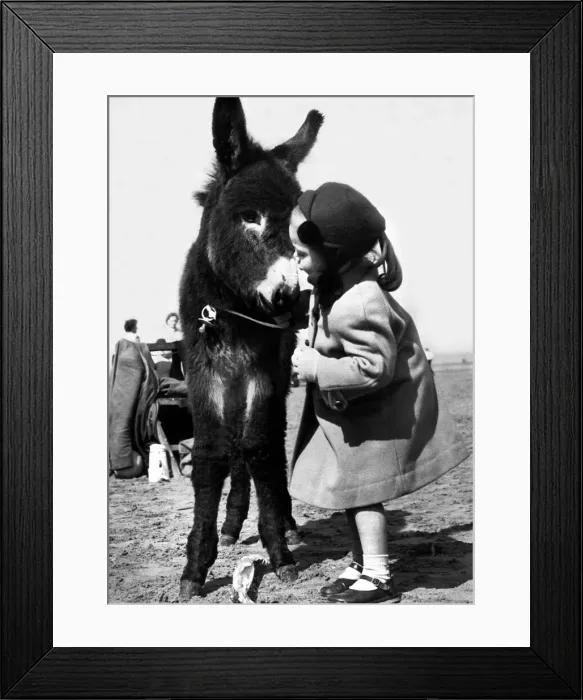 Framed Print : Holidays - Children with Animals Donkey Dorothy 4 Years old with a young Donkey Framed Print : Holidays - Children with Animals Donkey Dorothy 4 Years old with a young Donkey