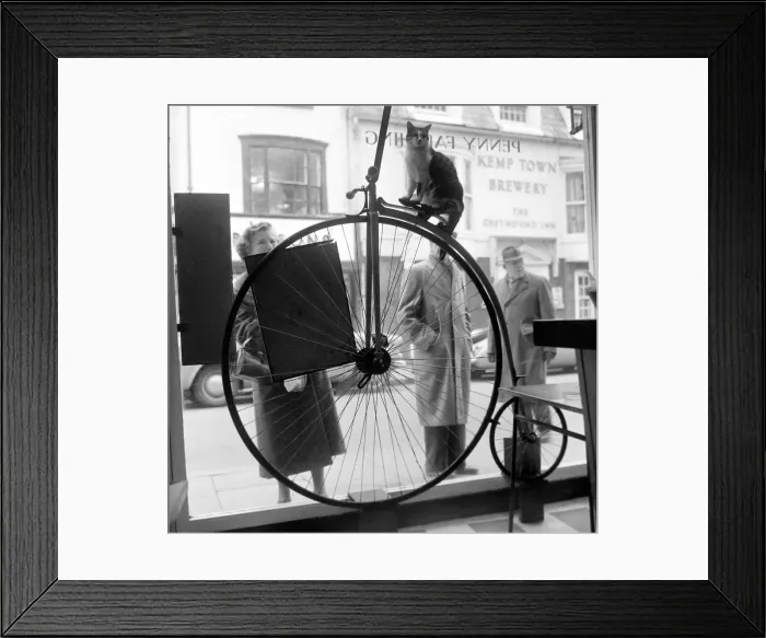 Framed Print : People stand and stare in the window of the Penny Farthing Coffee Bar at Brighton Framed Print : People stand and stare in the window of the Penny Farthing Coffee Bar at Brighton