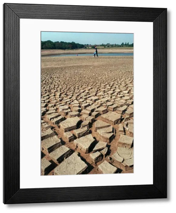Framed Print : Man walking across the drought hit reservoir at Bartley Green, Birmingham Framed Print : Man walking across the drought hit reservoir at Bartley Green, Birmingham