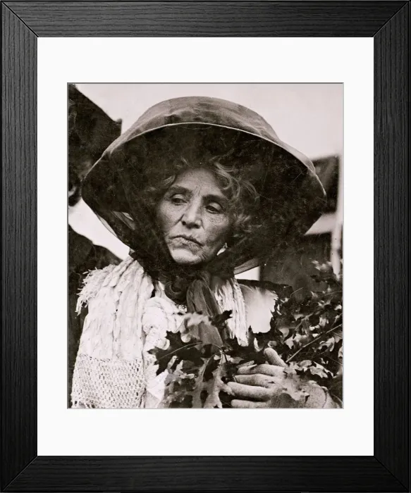 Framed Print : Lady Claflin Cook circa 1910 Suffragette benefactor patron - She has stated that