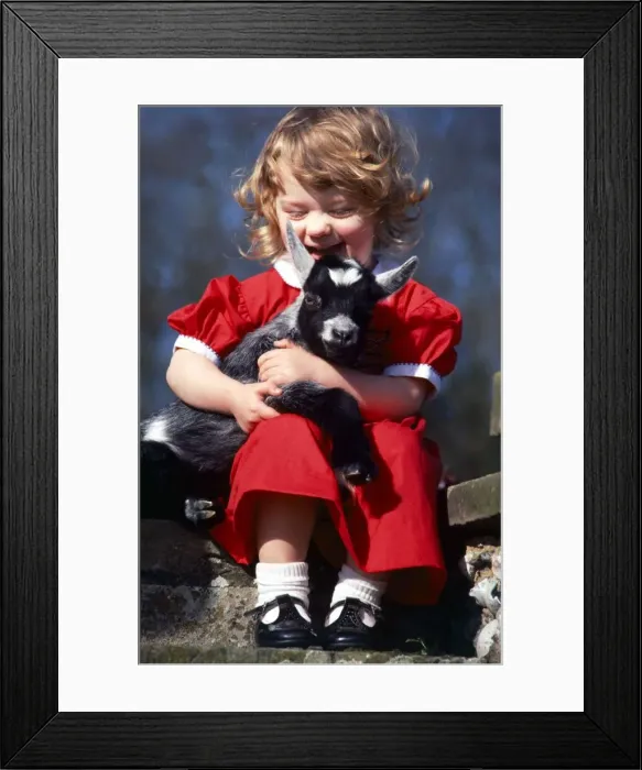 Framed Print : Little girl Candida hugging goat kid April 1981 Framed Print : Little girl Candida hugging goat kid April 1981